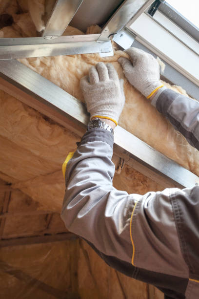Best Specialized Insulation Services in Jonesville, VA